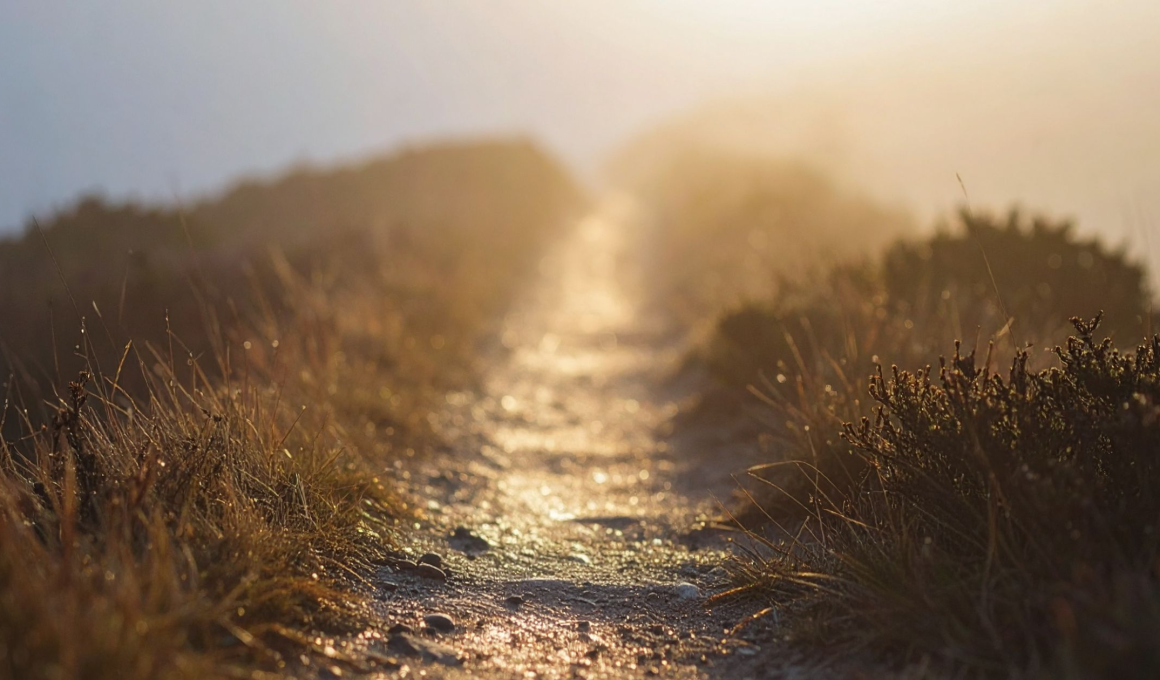 God-Is-Not-in-a-Hurry