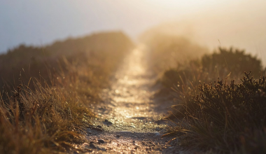 God-Is-Not-in-a-Hurry