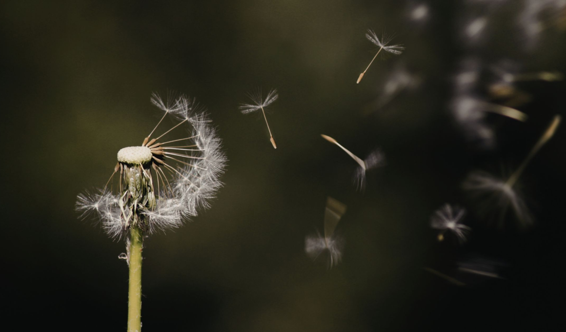 Letting Go to Make Room