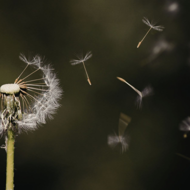 Letting Go to Make Room