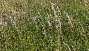 Slowing Your Inner World