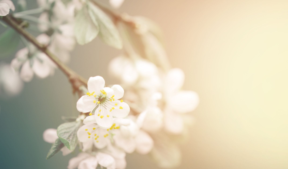 Joy Was Already There