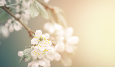 Joy Was Already There