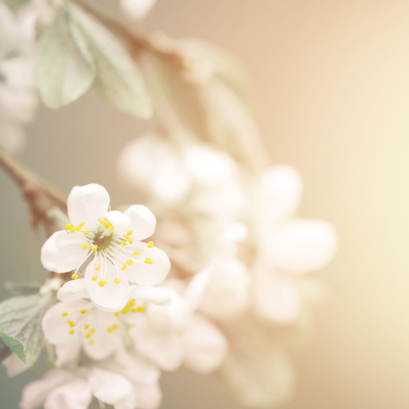 Joy Was Already There