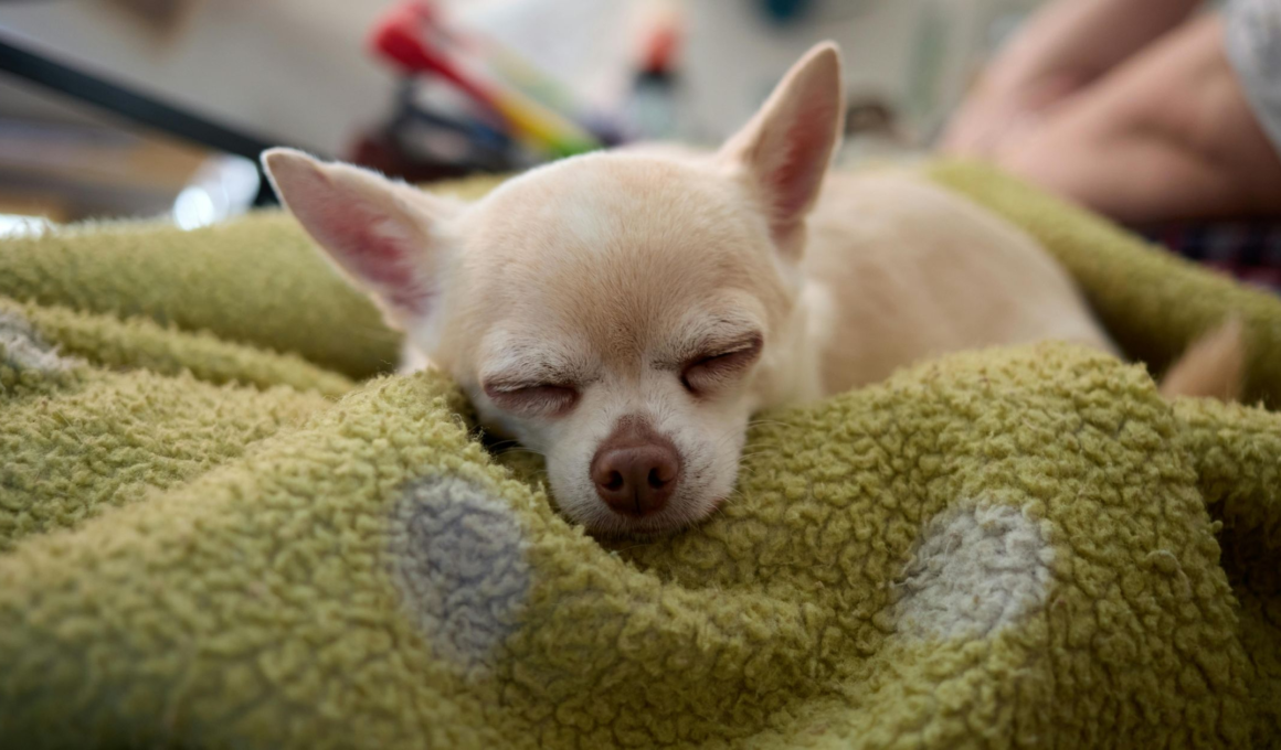 Small Mercies for Hard Days