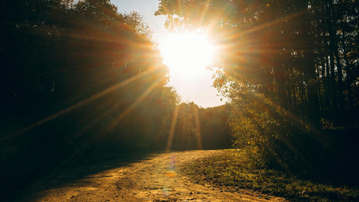 You Don't Have to See the Whole Path