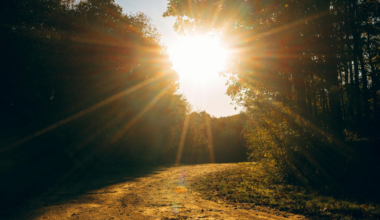 You Don't Have to See the Whole Path
