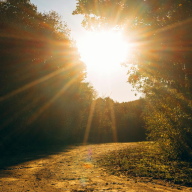 You Don't Have to See the Whole Path